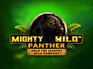 Mighty Wild Panther